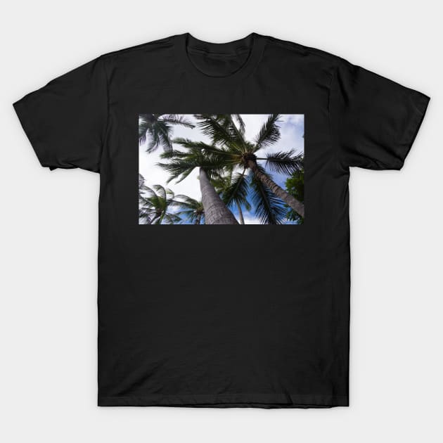 Palms T-Shirt by sma1050